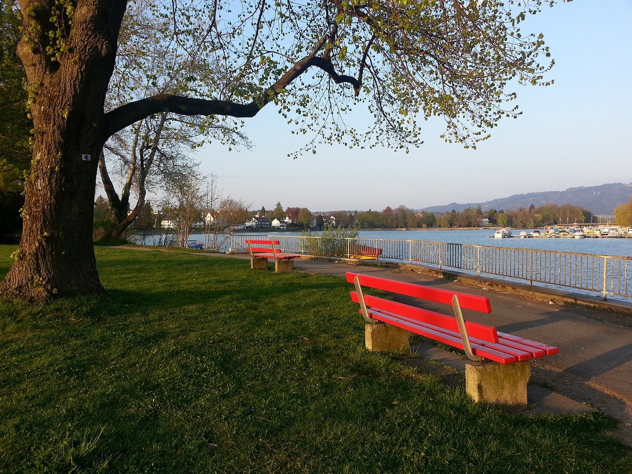 冷静应对 冷静应对